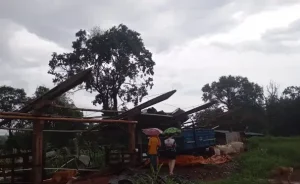 Vendaval com chuva causa estragos no interior de Medianeira