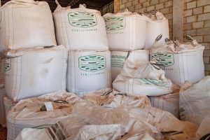 Câmara aprovou o marco regulatório para a produção e o uso de bioinsumos