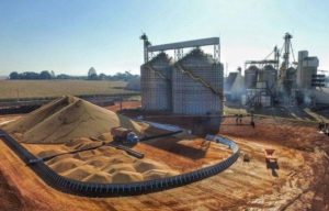 Falta de silos de armazenamento põe em risco a superprodução brasileira de grãos