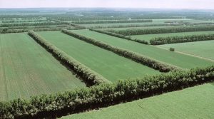 Mercado de terras agrícolas no Brasil passa por transformação