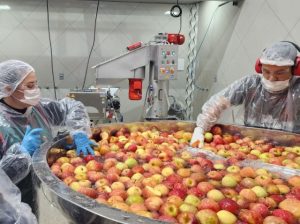 R$2 milhões em investimentos em cooperativas e associações