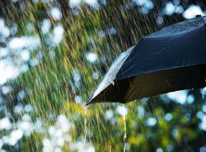 Última semana de novembro com calor e chuva típica de primavera-verão