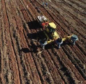 Impressionante: Máquina que planta árvores atinge 900 mudas/h