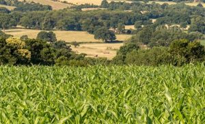 G7 apoia projeto que moderniza licenciamento ambiental