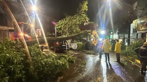 Temporal espalha destruição em Toledo