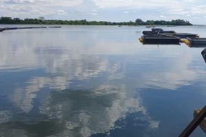 Trabalhador morre afogado em tanque de peixes