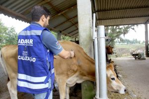 Veterinários devem se recadastrar para atuar contra brucelose e tuberculose