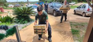 Mais de 1.500 aves são encontradas em micro-ônibus