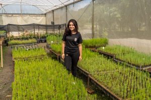 Colégio Florestal alcança capacidade de 1 milhão de mudas por ano