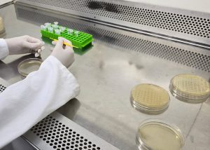 Que tal investir em uma biofábrica? Embrapa diz que é viável