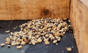 O que você está tomando? Tem café impróprio para consumo na praça