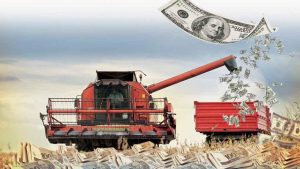 Dólar acima de R$ 6: impactos positivos e desafios para o agronegócio brasileiro