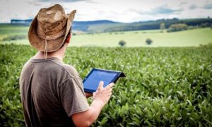 Agricultura digital deve crescer 183% e alcançar R$ 48,55 bilhões até 2026