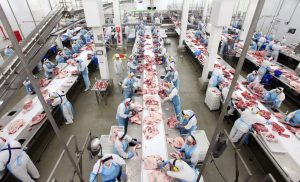 Mapa habilita 9 novos frigoríficos para exportação de carnes