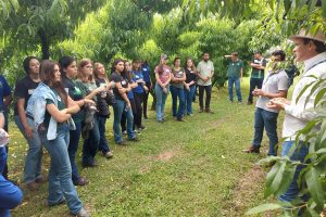 Mais de 700 alunos participam de Semana Frutifica Paraná