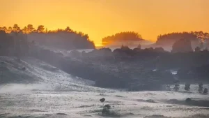 Frio de inverno nos estados do Sul: teve formação de geada e mínima até abaixo de zero
