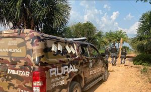 Flagrante! Quadrilha tenta furtar 21 cabeças de gado