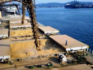 UE vota o adiamento da lei antidesmatamento, mas emendas ameaçam exportações