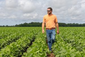 Saiba como o recordista mundial na produtividade de soja colhe 244 sacas por hectare em condições adversas