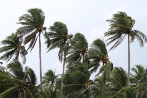 Ciclone bomba deve atingir o Brasil na próxima semana