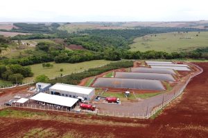 Estado vai isentar de ICMS biogás, biometano e combustível sustentável de avião