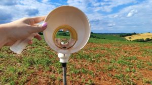 Monitoramento da ferrugem da soja completa dois meses