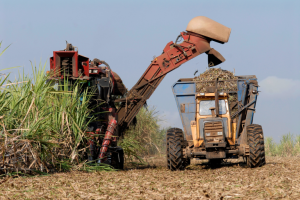 Projeto do Repasse dos Cbios é Vitória para os Produtores, Diz CNA