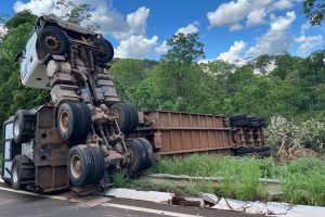 Caminhão com 60 bois tomba em rodovia