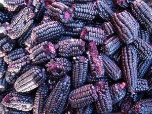 10 alimentos que estão entrando na moda e na mesa do brasileiro