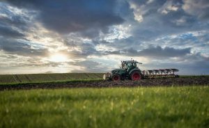 Estudo estima ganho de R$ 4 bilhões anuais com vegetação ao redor de cultivos