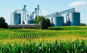Industrialização é fundamental para agregar valor ao agro