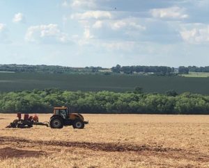 Estado dá prazo para declaração da área plantada de soja