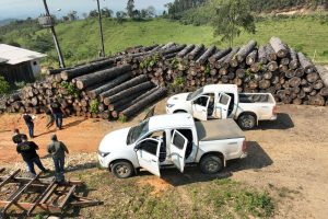 Multa por crimes ambientais cresce 24% entre janeiro e novembro