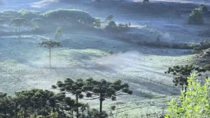 Frio de 3ºC em pleno dezembro cobre de gelo campos no Sul