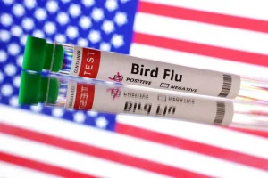 EUA confirmam primeiro caso grave de gripe aviária em humano