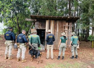 Ibama aplica R$ 2 milhões em multas por agrotóxicos irregulares