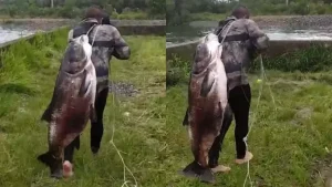 Essa não é história de pescador!