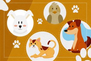 Lei autoriza criação do Cadastro Nacional de Animais de Estimação