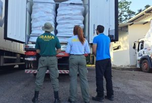 10 toneladas de pirarucu são apreendidas durante fiscalização