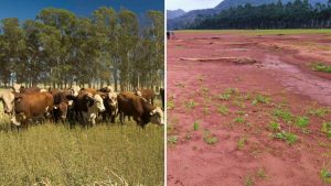 Projetos da Agricultura são contemplados em edital sobre desastres climáticos