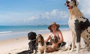 Férias: viajar ou não com os pets?