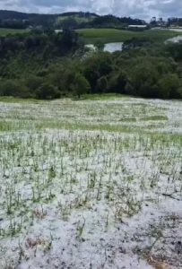 Chuva de granizo destrói plantação de soja
