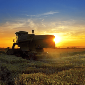 Agroindústrias e Agrosserviços mantém em crescimento número de pessoas atuando