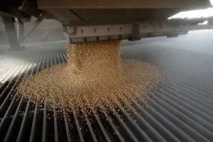 Outra guerra comercial EUA-China pode derrubar preço da soja norte-americana