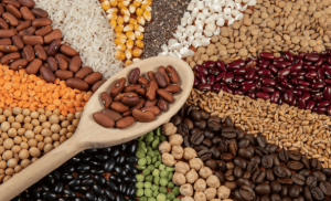 Parceria com o México é reforçada para exportação de alimentos essenciais