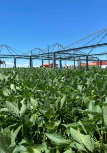 Dezoito montadoras já aceleram preparativos do 37º Show Rural