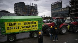Agricultores franceses protestam novamente contra acordo UE-Mercosul