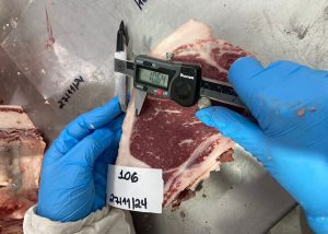 Pesquisa usa tecnologia  para definir a “impressão digital” da carne