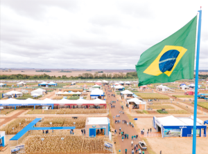 Dia de Campo de verão da C.Vale mostra novas tecnologias em janeiro no PR