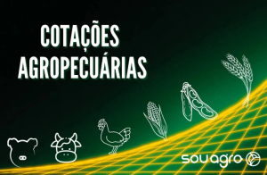 Cotações Agropecuárias